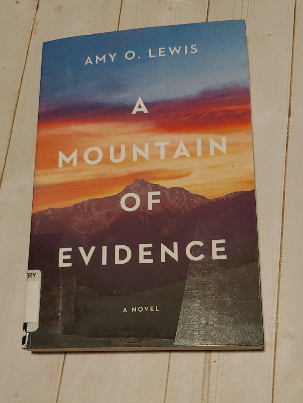 A Mountain Of Evidence Adult Novel Book By Amy O. Lewis Mystery 2021